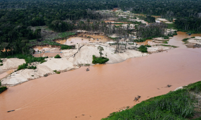 Interpol crackdown on illegal mining, logging, wildlife trafficking leads to 233 arrests