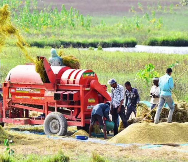 Rural incomes may take a hit this year: IEG economist
