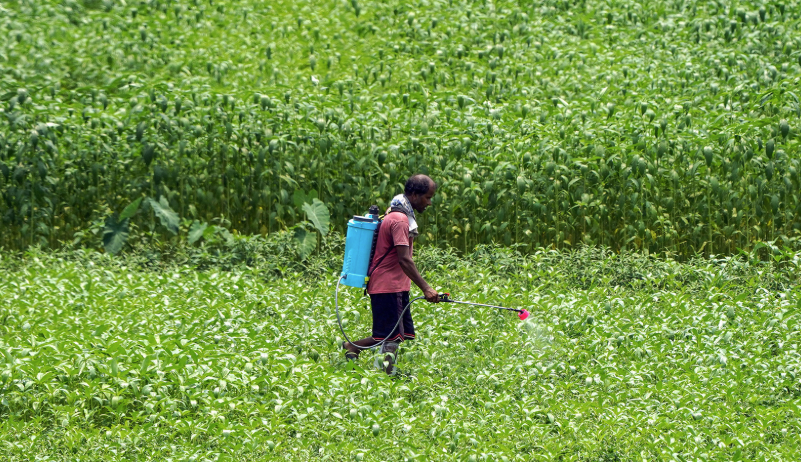 Global crop prices rise up to 30%, but agrochemical demand remains weak: Jefferies