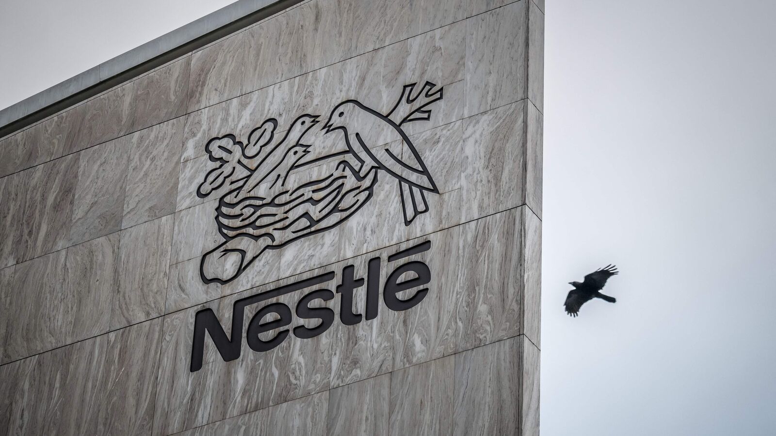 Nestle நிறுவன லாபம் 36 சதவீதம் உயர்வு!