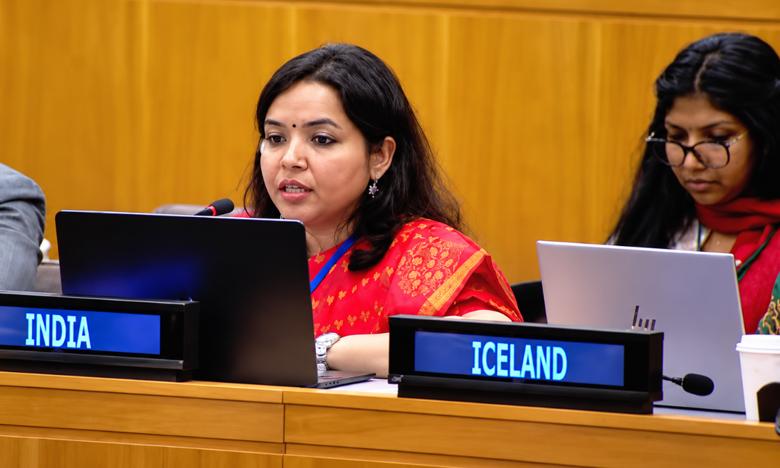 India opposes attempts to portray negatively using allegations at UN