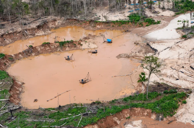 Rights body calls for oversight of tech in Latin American environmental crimes