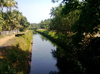 We the Leaders activists clean Periyar canal
