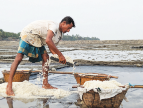 Rain disrupts salt production, leaves many without work