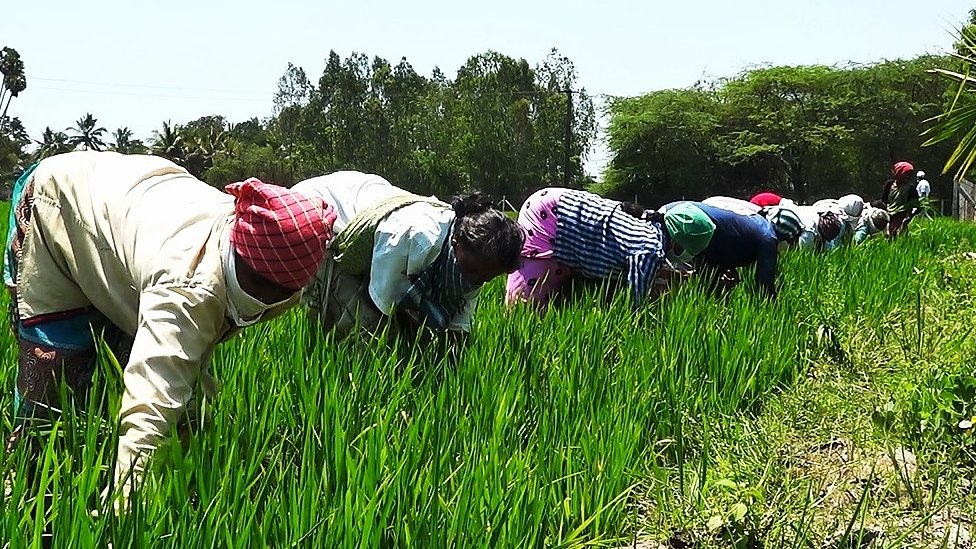 ‘நறுமுகை’  இ-காமர்ஸ் தளம் - டிஜிட்டல் முறையில் அசத்தும் பெண் விவசாயிகள்