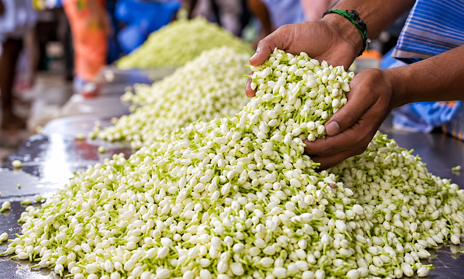 Flower prices double ahead of festival