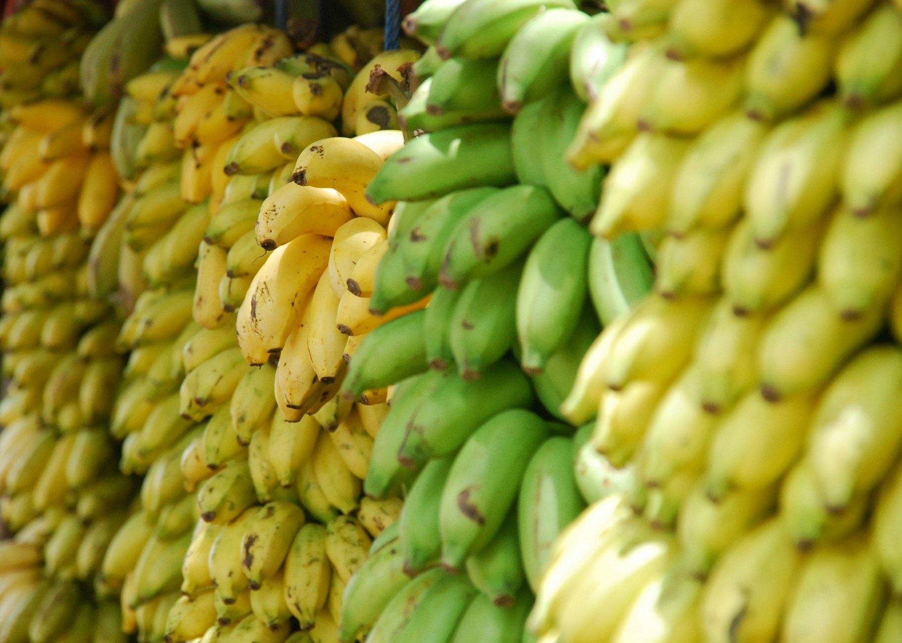 Banana prices soar in Namakkal district