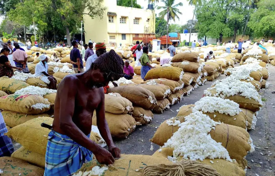 கும்பகோணத்தில் ரூ.17 லட்சத்துக்கு பருத்தி ஏலம்