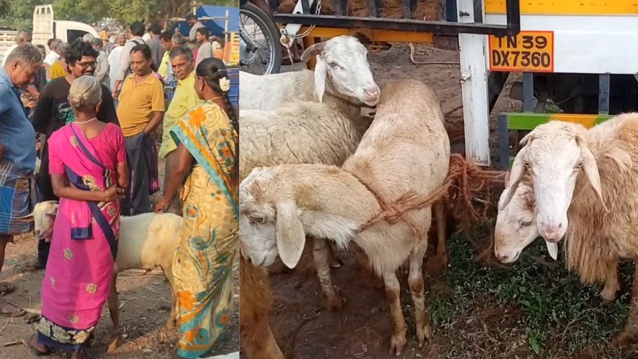 நெருங்கும் ரம்ஜான்.. களையிழந்த கால்நடை சந்தையால் வியாபாரிகள் ஏமாற்றம்