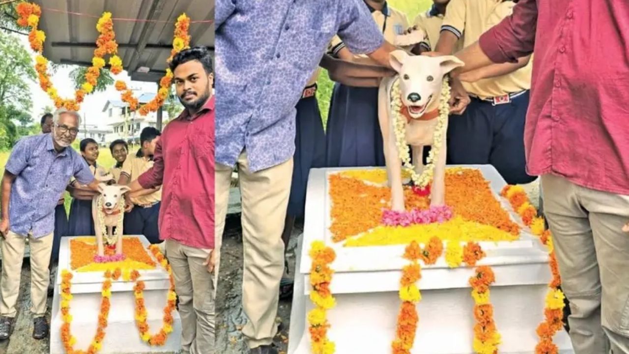 தெரு நாய்க்கு சிலை வைத்த கிராம மக்கள்.. கேரளாவில் நெகிழ்ச்சி!