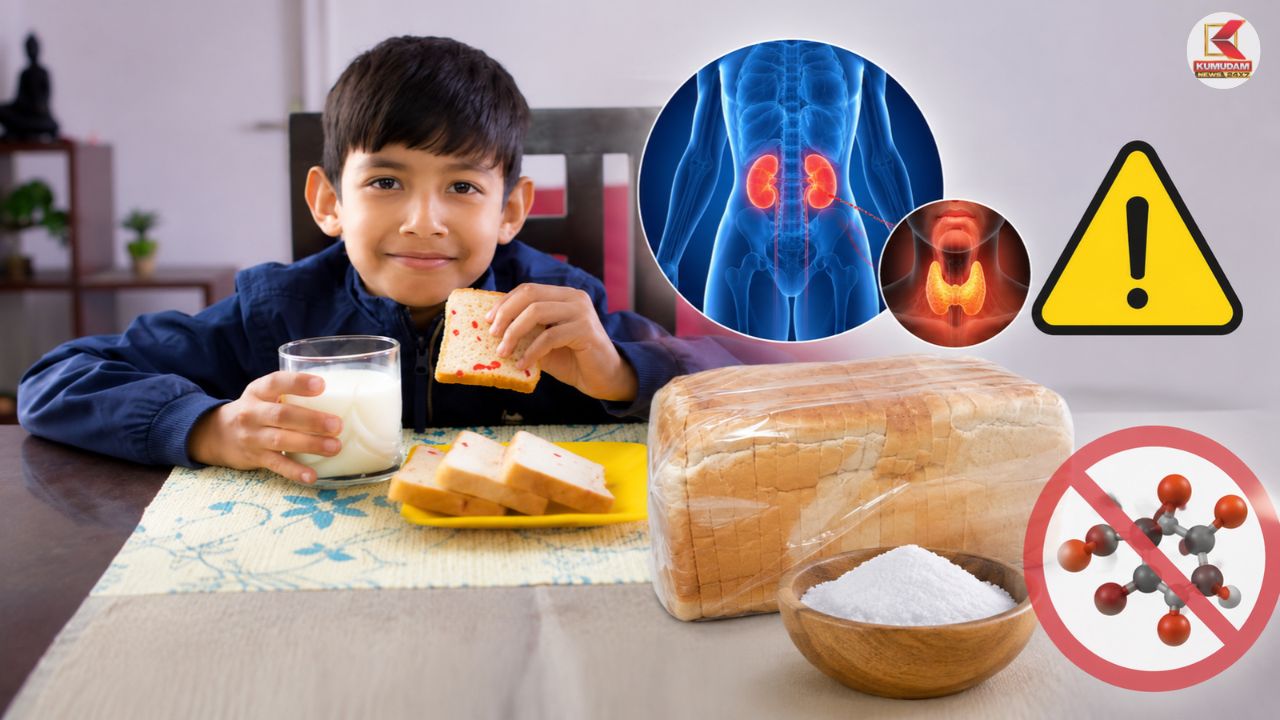 என்னது பிரட் (Bread) சாப்பிட்டால் TUMOR வருதா? அதிரவைக்கும் பின்னணி ! என்னது பிரட் (Bread) சாப்பிட்டால் TUMOR வருதா? அதிரவைக்கும் பின்னணி !